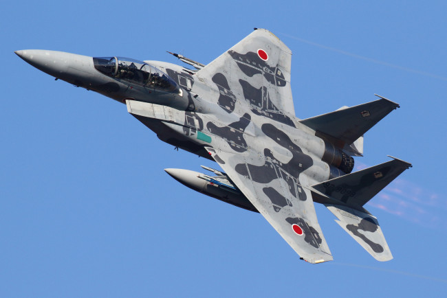 Обои картинки фото авиация, боевые самолёты, ввс