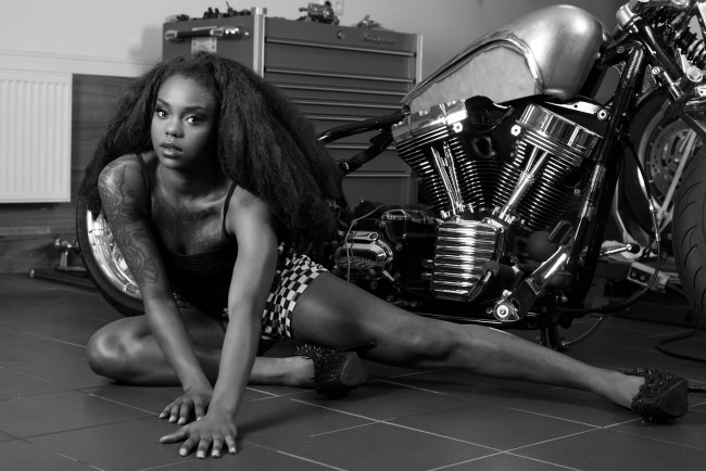 Обои картинки фото мотоциклы, мото с девушкой, harley