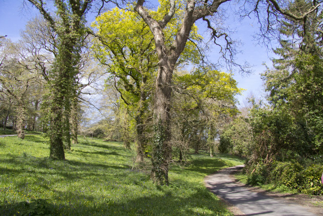 Обои картинки фото природа, дороги, простор