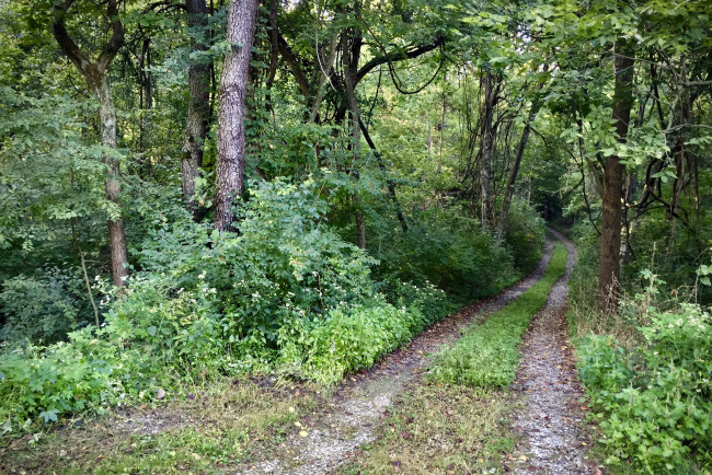 Обои картинки фото природа, дороги, простор