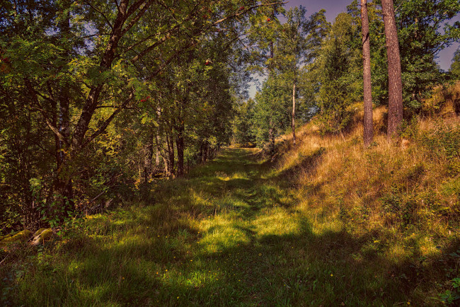 Обои картинки фото природа, дороги, простор