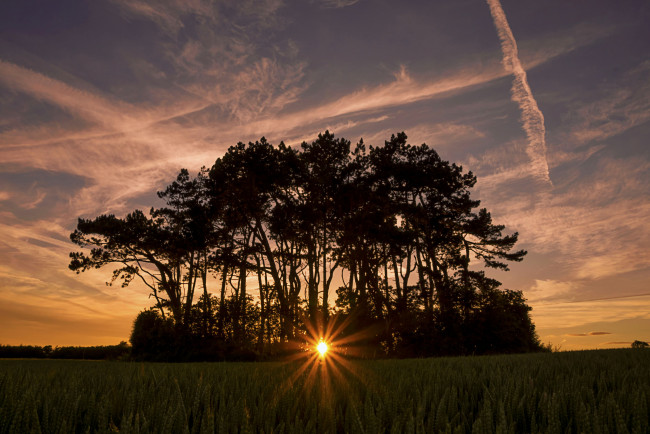 Обои картинки фото природа, пейзажи, простор