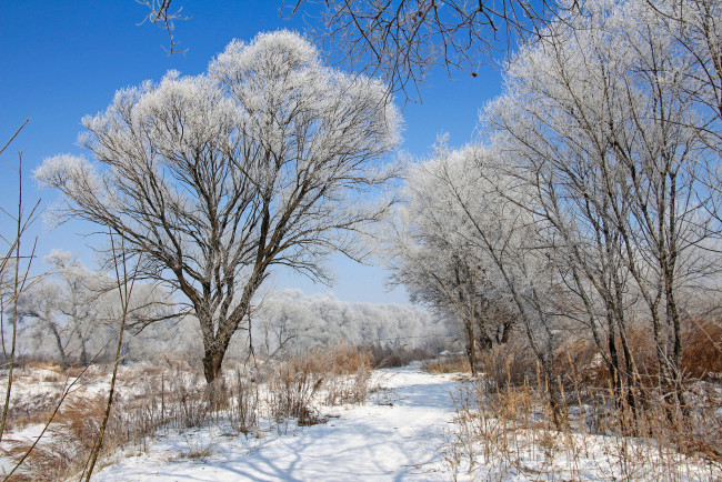 Обои картинки фото природа, зима, простор