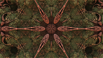 Картинка 3д+графика абстракция+ abstract узор фон цвет