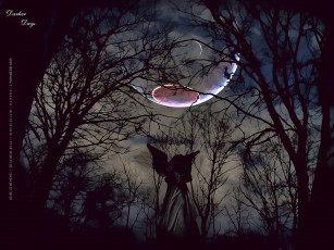 Картинка календари фэнтези планета ночь природа деревья растение calendar 2020