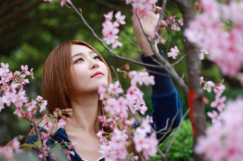 Картинка девушки -+азиатки рыжая лицо сакура