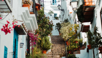 Картинка города -+здания +дома здания лестница переулок архитектура