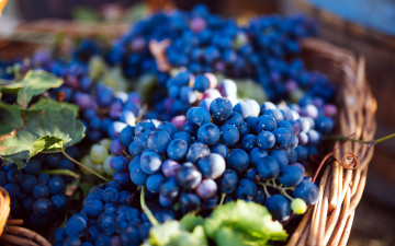 Картинка еда виноград корзинка ягоды