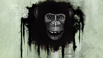 обоя 295741, рисованное, животные,  обезьяны, обезьяна