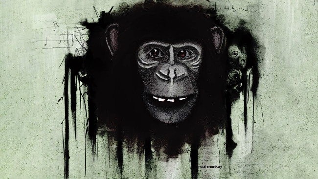 Обои картинки фото 295741, рисованное, животные,  обезьяны, обезьяна