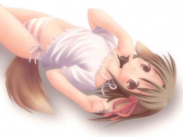 Обои картинки фото аниме, animals