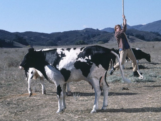 Обои картинки фото крысинная, гонка, кино, фильмы, rat, race