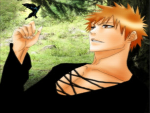 Картинка аниме bleach