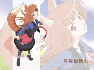 Картинка аниме spice and wolf