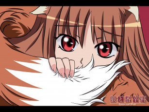 Картинка аниме spice and wolf