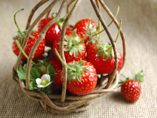 Картинка еда клубника земляника