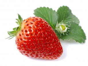 Картинка еда клубника земляника