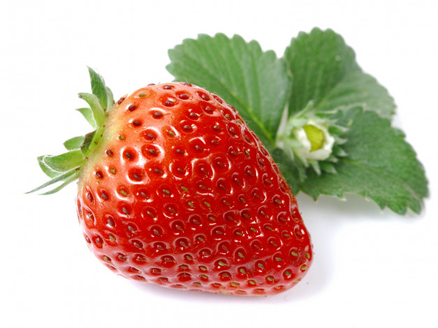 Обои картинки фото еда, клубника, земляника