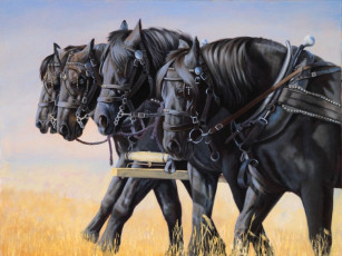 Картинка рисованные животные