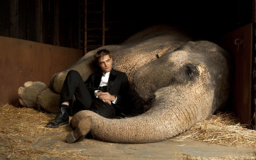 Картинка water for elephants кино фильмы