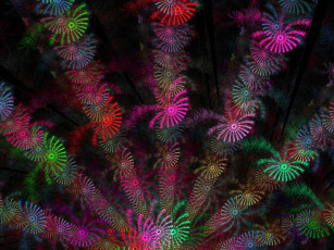 Картинка 3д графика fractal фракталы фон узор цвета