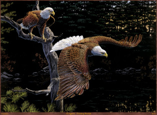 Картинка al agnew evening retreat рисованные дерево лес птицы орлы