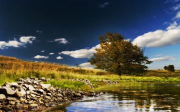 Картинка природа деревья облака дерево