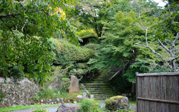 Картинка природа парк лестница