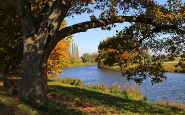 Картинка природа реки озера осень река деревья