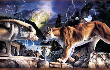 Картинка daniel renn pierce face to рисованные река молния орёл камни волк кугуар пума