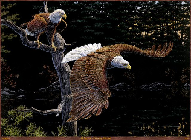 Обои картинки фото al, agnew, evening, retreat, рисованные, дерево, лес, птицы, орлы