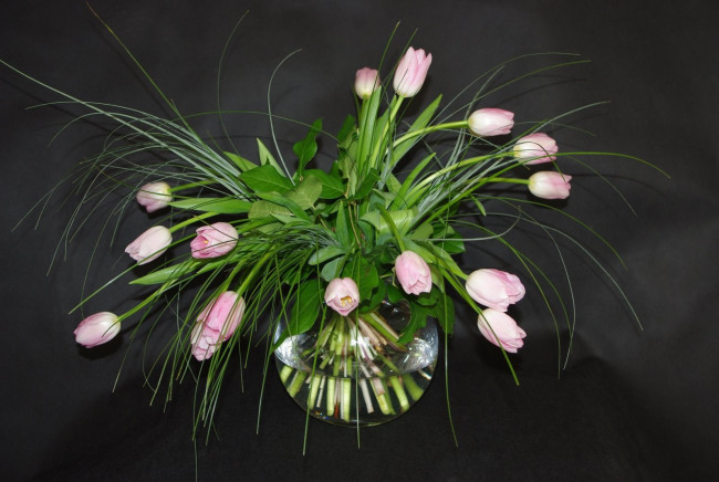 Обои картинки фото цветы, тюльпаны, розовый