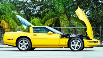 Картинка chevrolet+corvette автомобили corvette general спорткар chevrolet сша motors