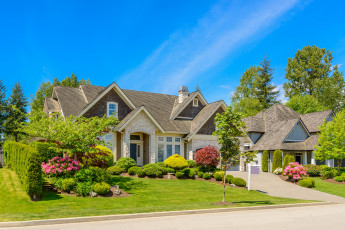 Картинка города -+здания +дома дом лето цветы зелень трава деревья кусты газон дорога особняк голубое солнце небо