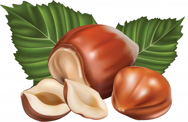 Обои картинки фото векторная графика, еда , food, орехи, фон, листья