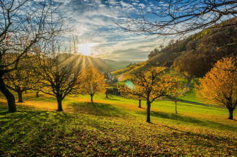 Картинка природа восходы закаты деревья облака лечи