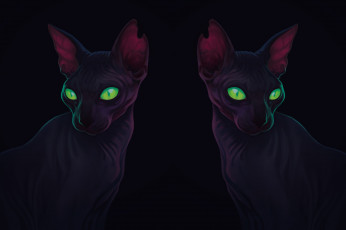 Картинка рисованное животные +коты сфинкс кошка уши