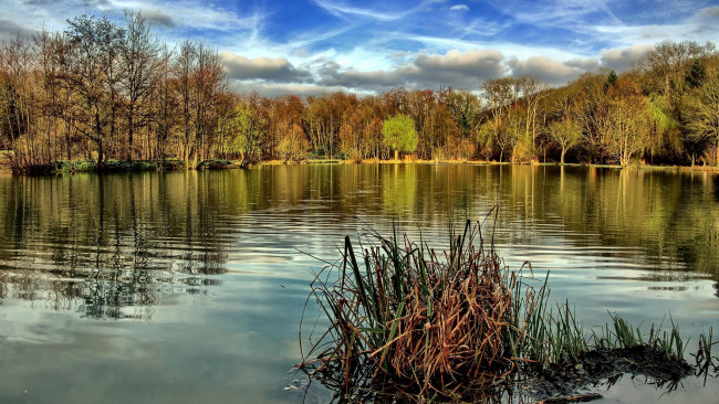 Обои картинки фото природа, реки, озера, вода, река, деревья