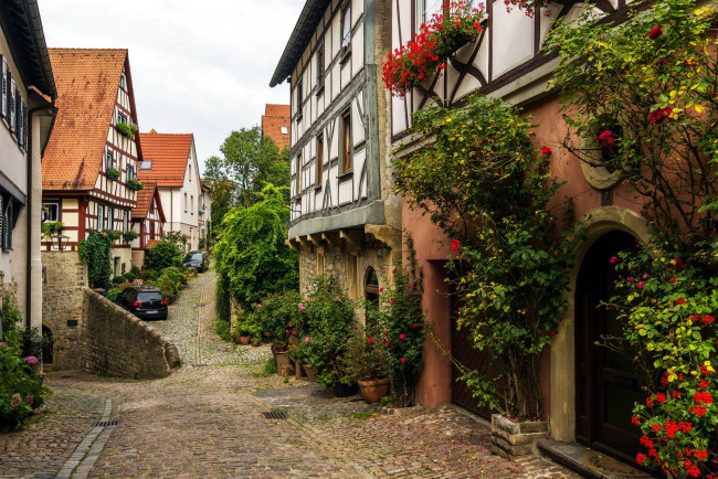 Обои картинки фото города, - улицы,  площади,  набережные, улочка, цветы