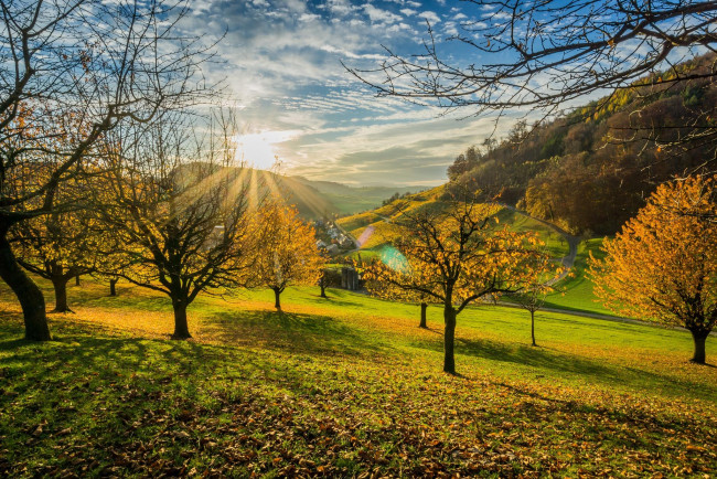 Обои картинки фото природа, восходы, закаты, деревья, облака, лечи