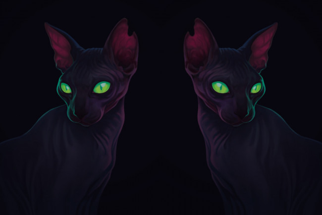 Обои картинки фото рисованное, животные,  коты, сфинкс, кошка, уши