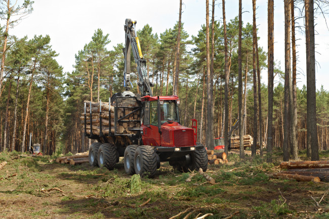 Обои картинки фото техника, лесоповалочная техника, komatsu
