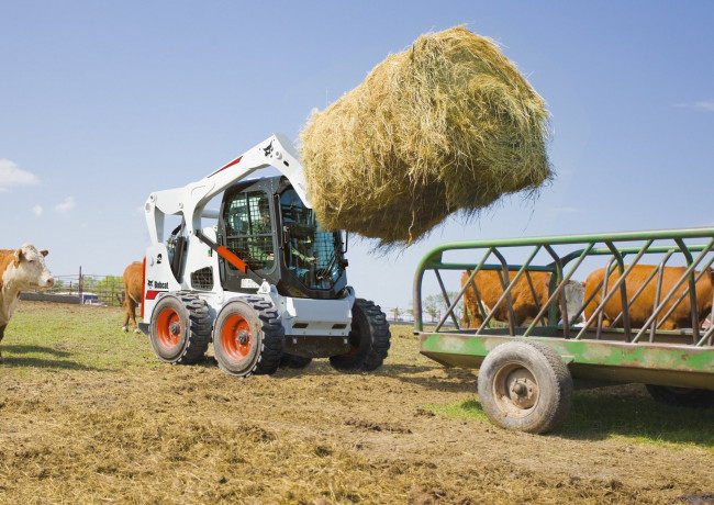 Обои картинки фото техника, фронтальные погрузчики, bobcat