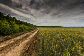 Картинка природа дороги простор