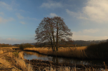 Картинка природа реки озера простор