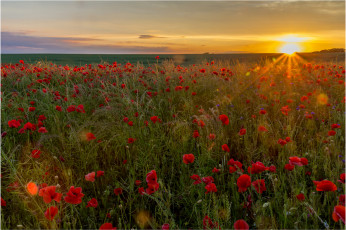 Картинка природа восходы закаты простор