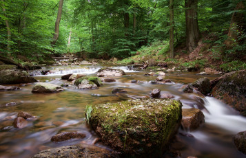 Картинка природа реки озера простор