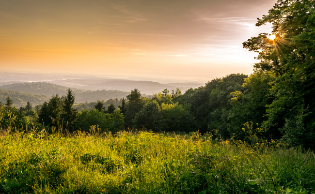 Обои картинки фото природа, луга, простор