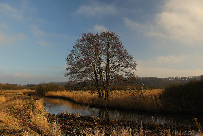 Обои картинки фото природа, реки, озера, простор