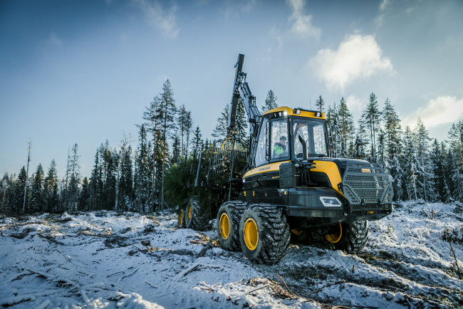 Обои картинки фото техника, лесоповалочная техника, buffalo